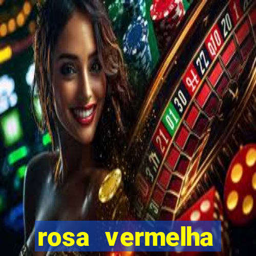 rosa vermelha (letra e cifra)